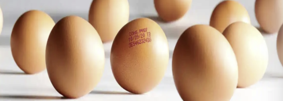 1769146340207525.png image.png