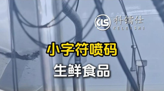 小字符喷码生鲜食品